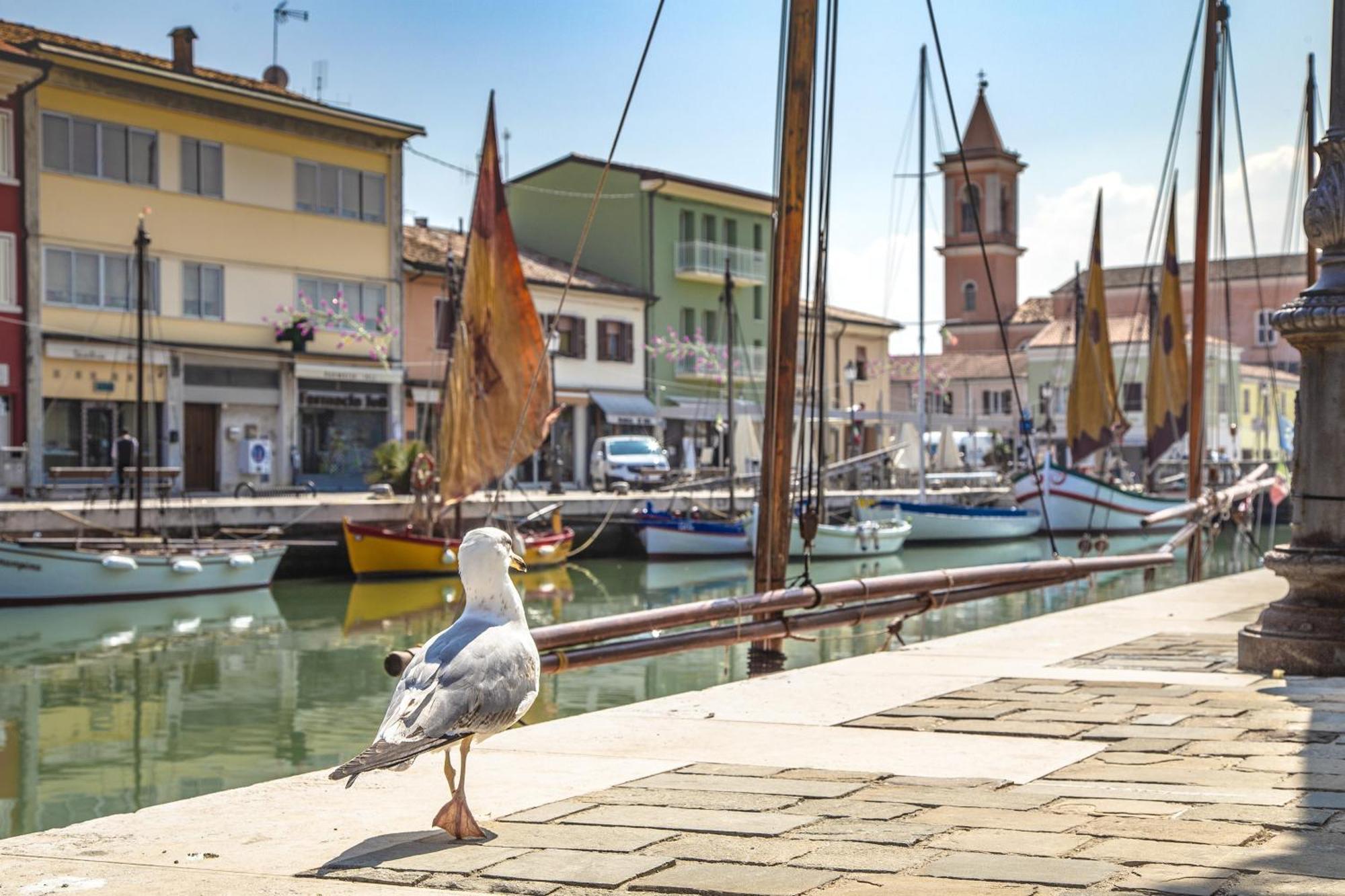Hotel Wega Bellaria-Igea Marina Bagian luar foto